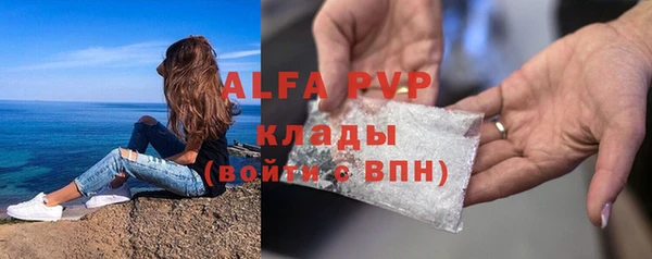 гашик Гусев