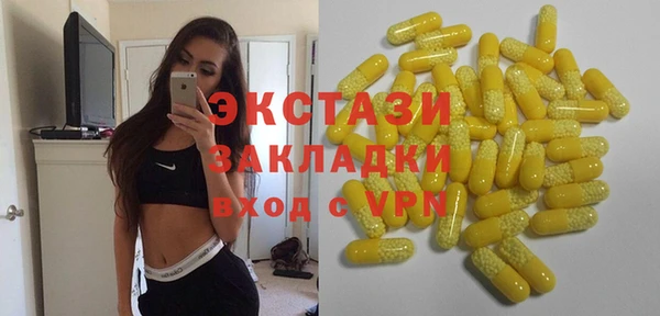 гашик Гусев