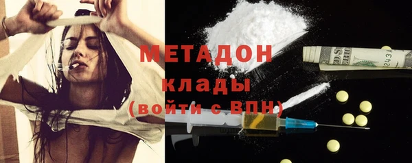 прущие грибы Гусь-Хрустальный