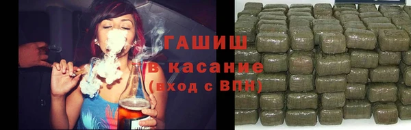 прущие грибы Гусь-Хрустальный