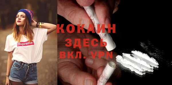 гашик Гусев