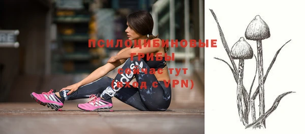 прущие грибы Гусь-Хрустальный
