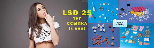 прущие грибы Гусь-Хрустальный