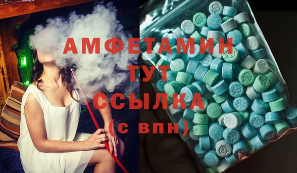 прущие грибы Гусь-Хрустальный
