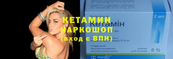 прущие грибы Гусь-Хрустальный