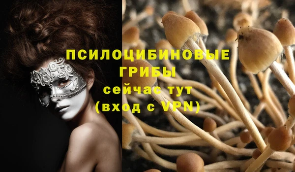 гашик Гусев