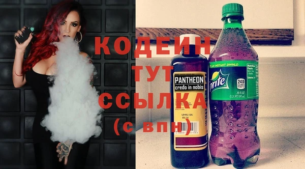 гашик Гусев