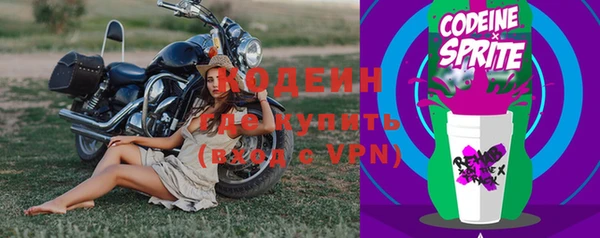 гашик Гусев