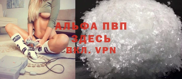 прущие грибы Гусь-Хрустальный