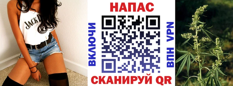 Бошки Шишки семена  omg tor  Оренбург 